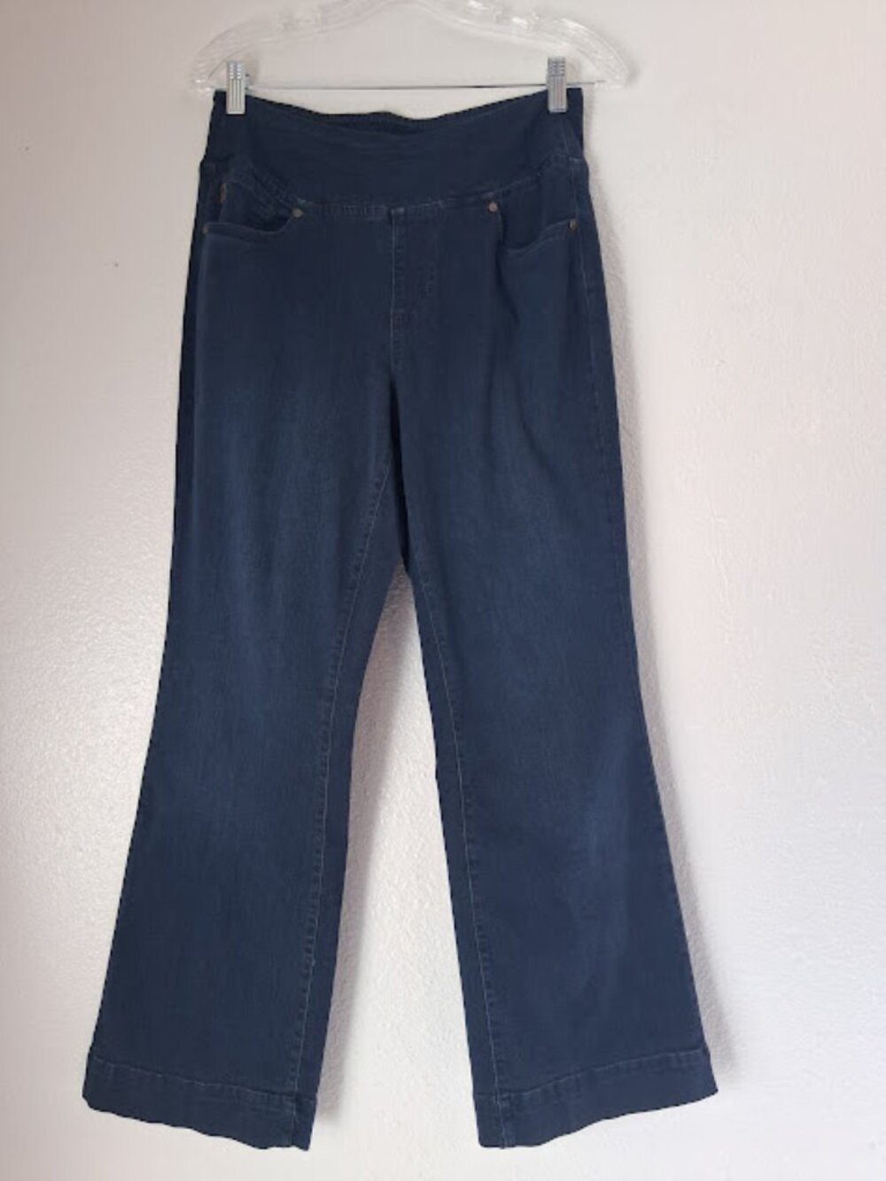 Belle by Kim Gravel women's size 8P Pull on pants
